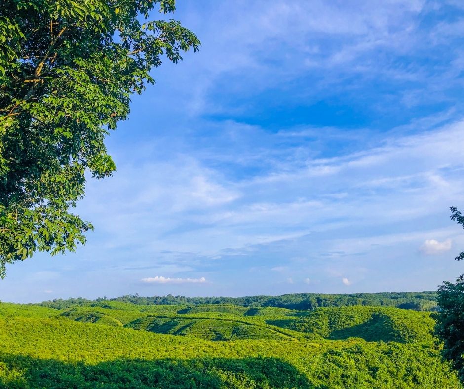 Sylhet Bangladesh